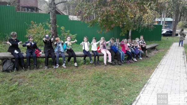 В ДЕНДРАРИИ30839