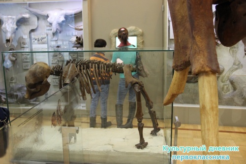 Новый экспонат «Ледниковый период»16489