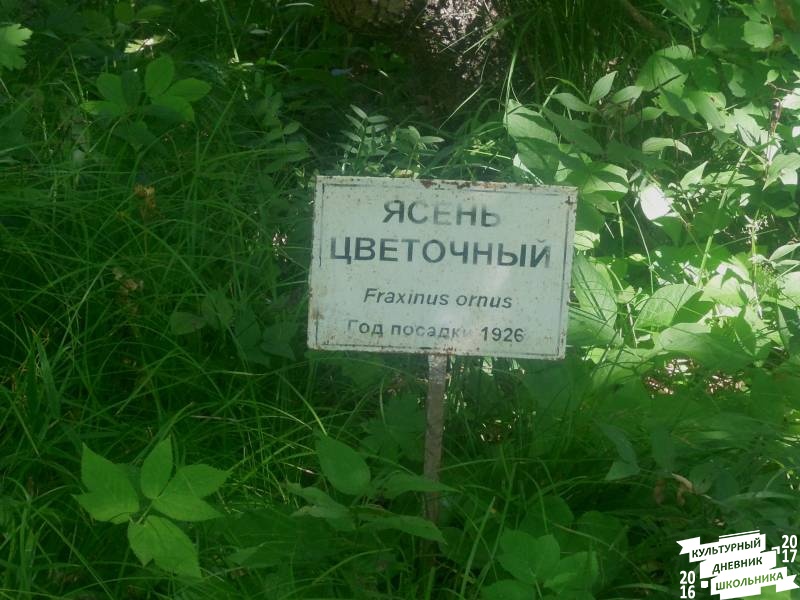 DSCN1625.JPG