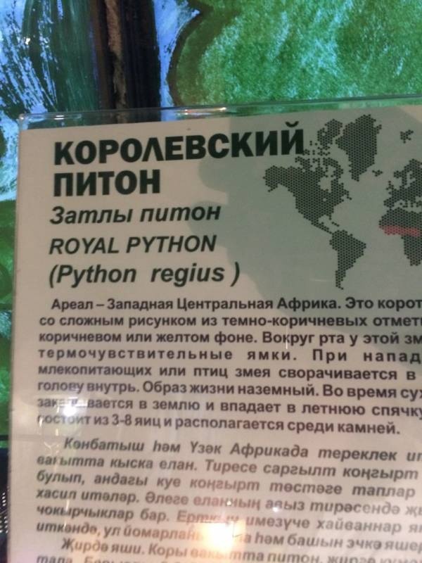 Казанский зооботсад92810