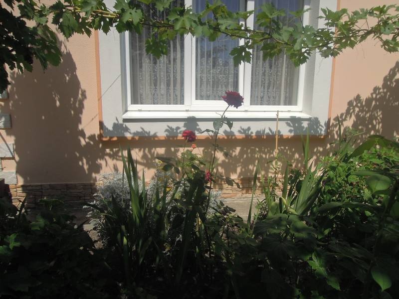 DSCN0549.JPG