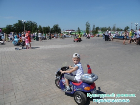 SAM_0815.JPG