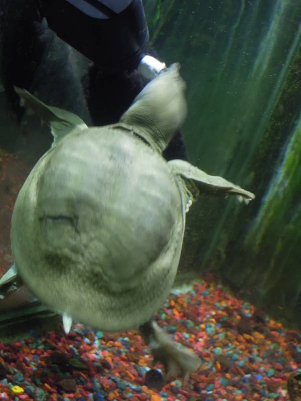 DSCN9963.JPG