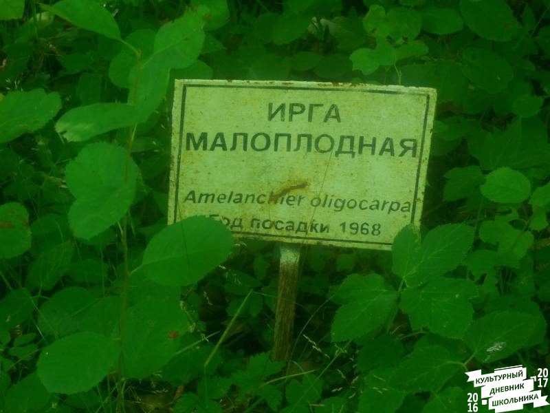 DSCN1610.JPG