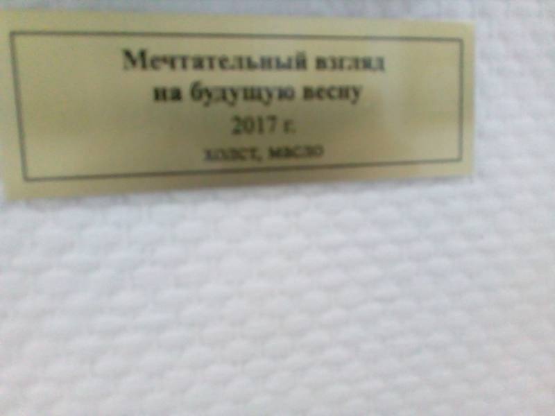 Персональная выставка Н. Сафронова в Картинной галерее г. Набережные Челны 74