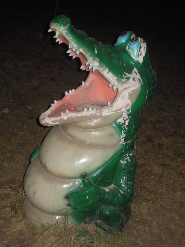 DSCN5230.JPG