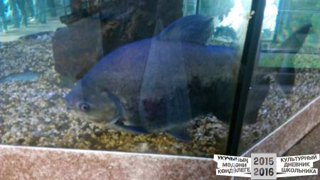 IMG_20160828_083633
