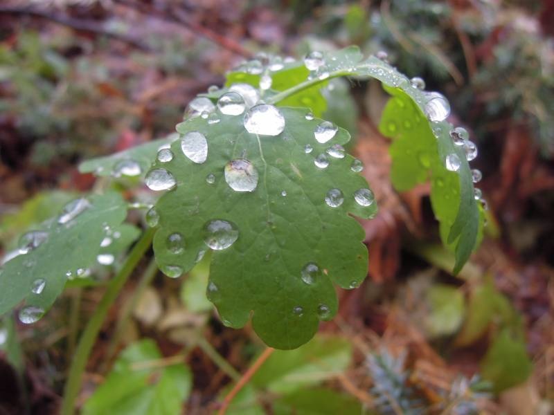 DSCN5036.JPG