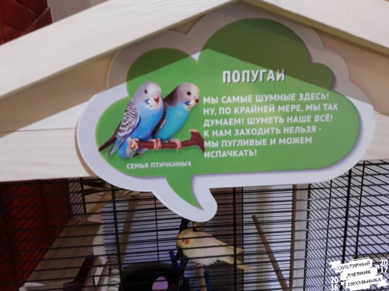 Контактный зоопарк. Казань.75613