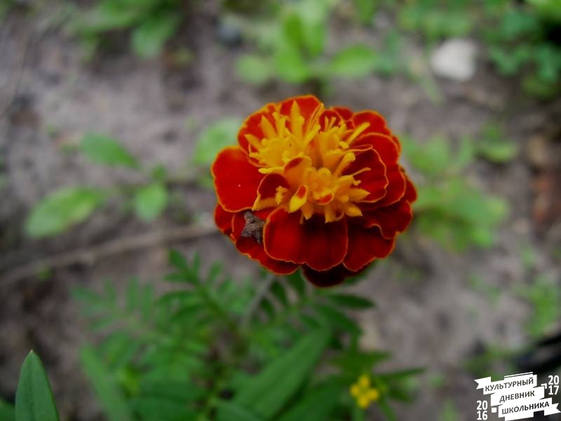 DSCN0644.JPG