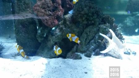 20160828_103156