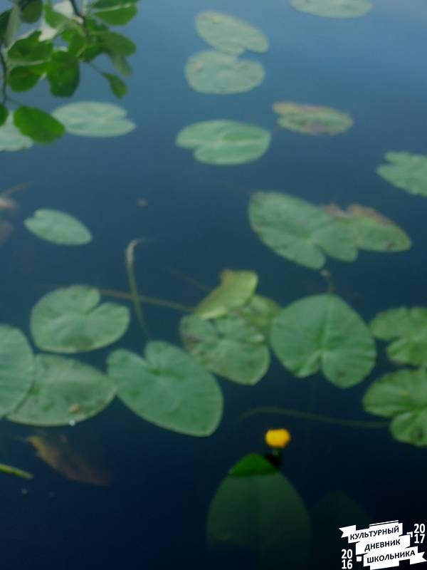 DSCN0340.JPG