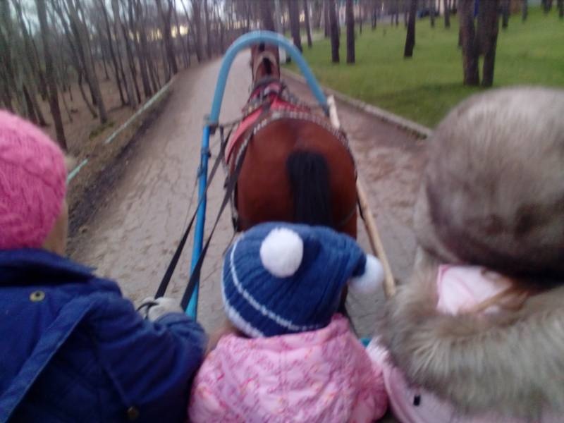 3 день соревнований 2