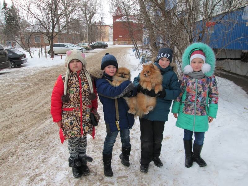 Прогулка с друзьями137625