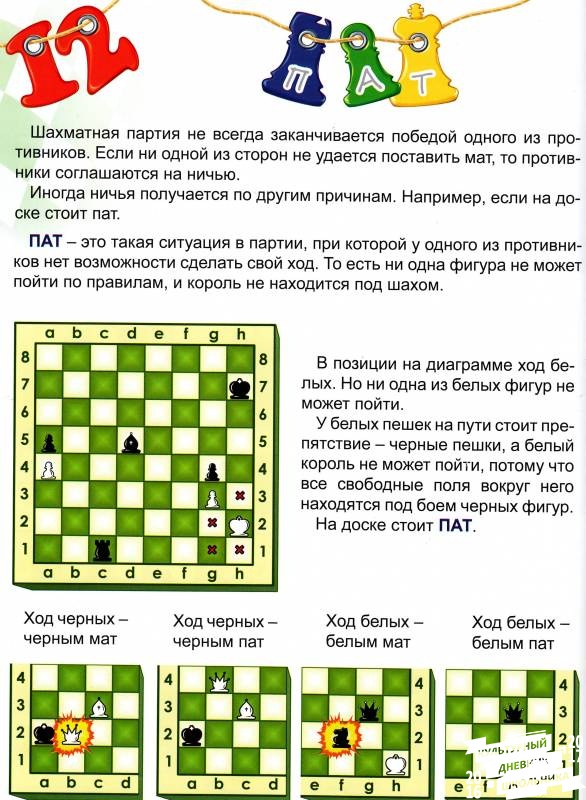 Урок 15 Пат