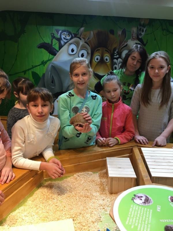 Трогательный зоопарк.93868