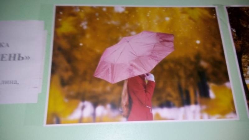 Фотовыставка "Золотая осень". МБОУ СОШ №20. 28.11.17.109834