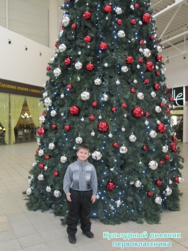 мои мероприятия7933