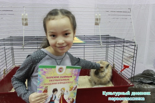 Выставка кроликов17904