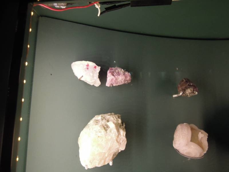 DSCN2142.JPG
