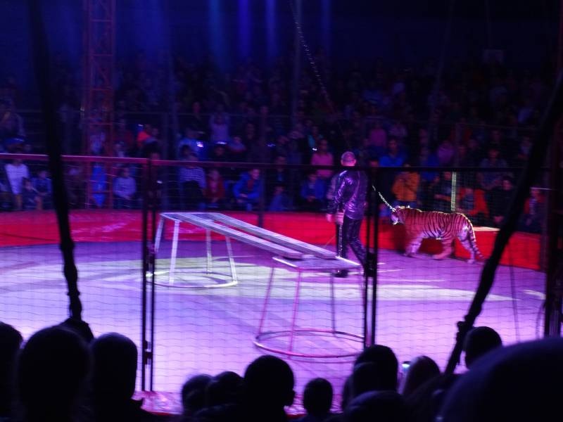 DSC07332.JPG