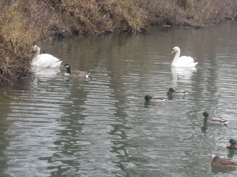 DSCN4922.JPG