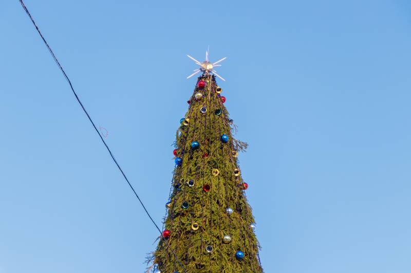 Открытие городской елки129312