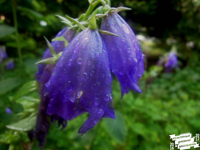 DSCN0314.JPG