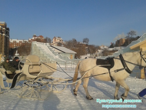 Зимние каникулы январь 2015г.18377