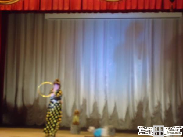 я в цирке31967