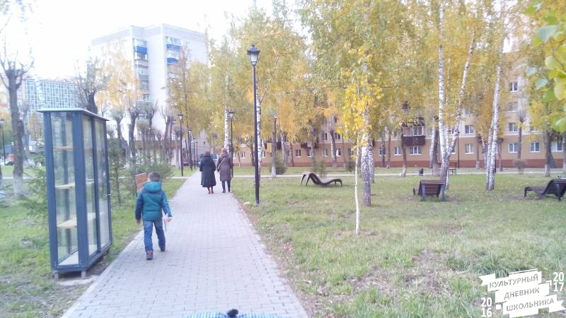 Уличные библиотеки Альметьевска. 31.10.17г.84624