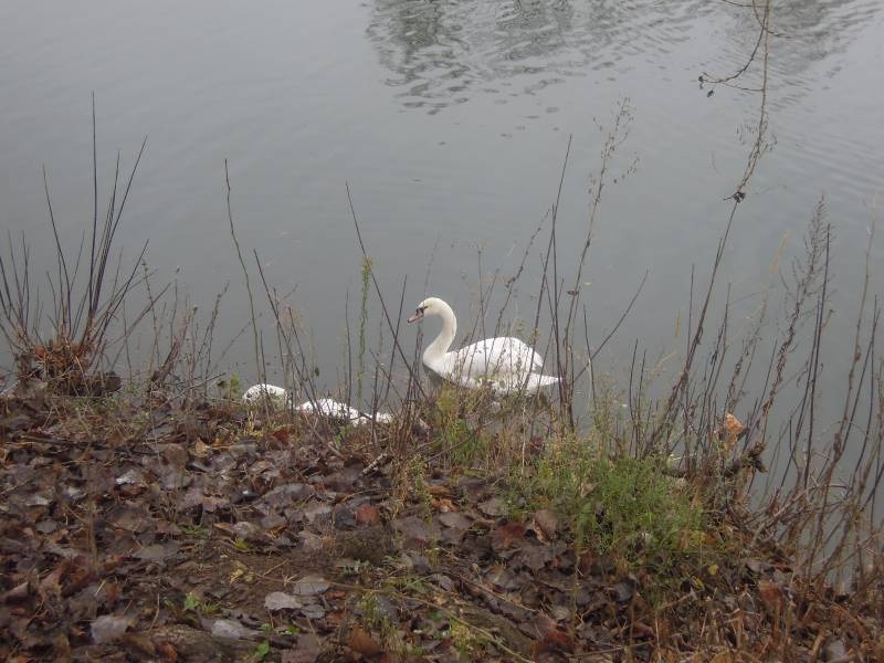 DSCN4931.JPG
