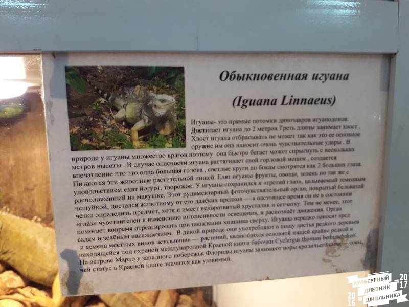 Выставка зоопарк "Живые тропики"60586