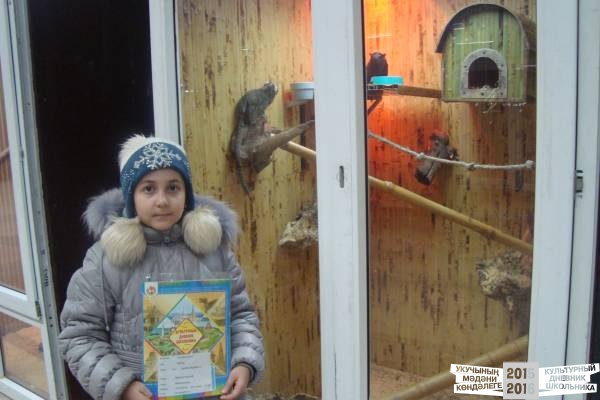 Выставка экзотических обезьян.