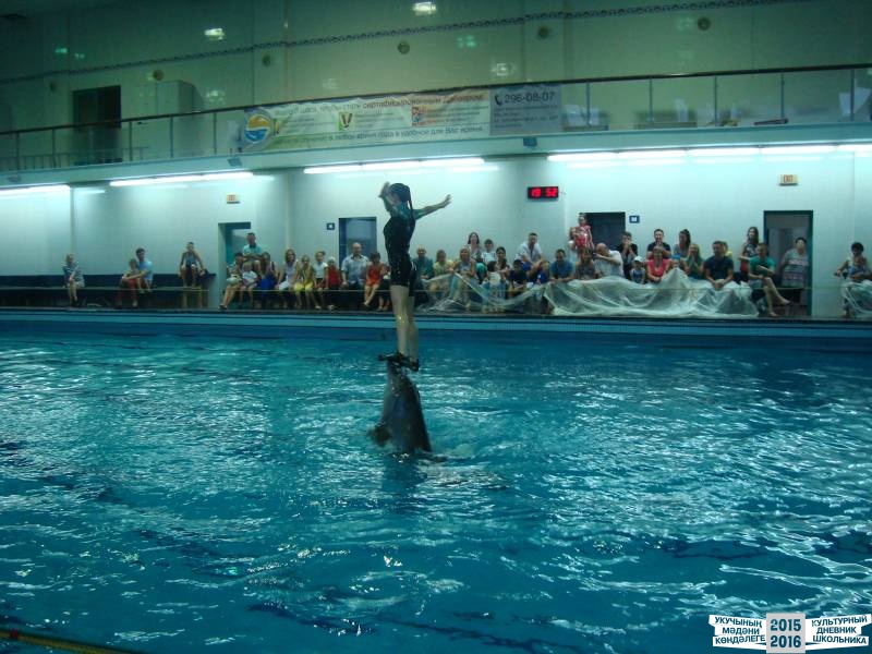 Мои летние путешествия!39641