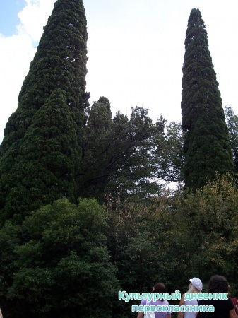 05092011350