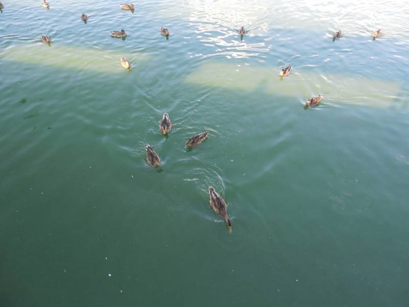 DSCN4580.JPG