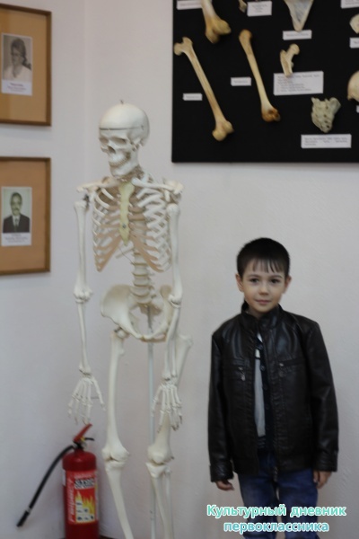 Музей уездной медицины г.Елабуга