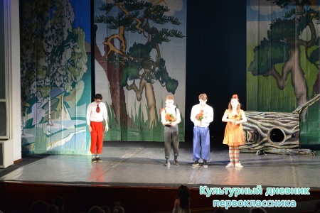 Новогоднее представление18509