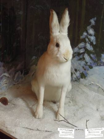 DSCN6820.JPG