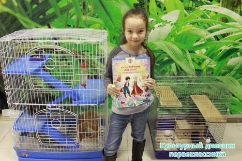 Мадагаскар выставка18113