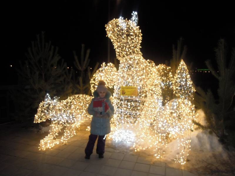 DSCN6739.JPG
