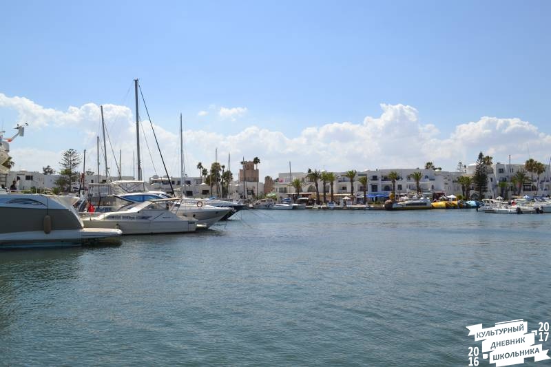 DSC_0343.JPG