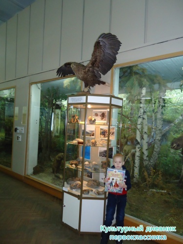 Ульяновский краеведческий музей имени И.А.Гончарова11745