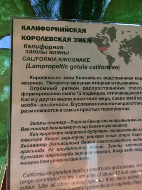 Казанский зооботсад92808