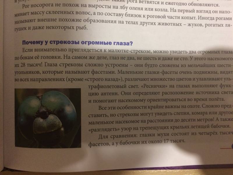 моя книжная полка104134