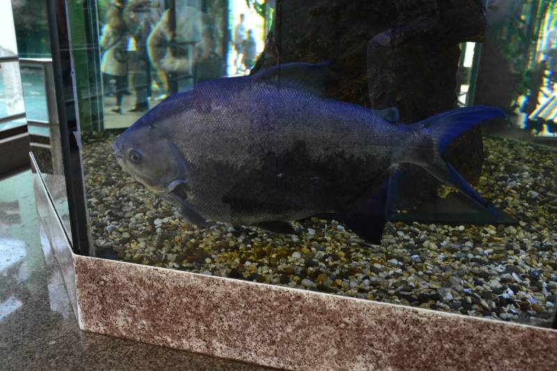 DSC_0657.JPG
