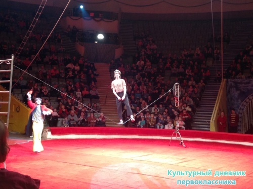 В цирке!15419