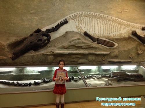 Музей естественной истории16843