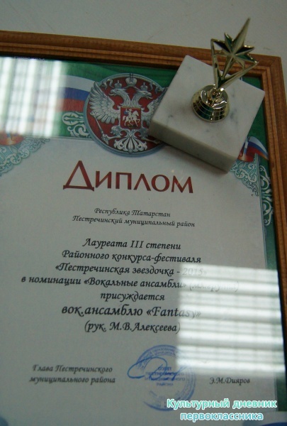 Пестречинская звездочка24368